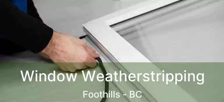 Window Weatherstripping Foothills - BC