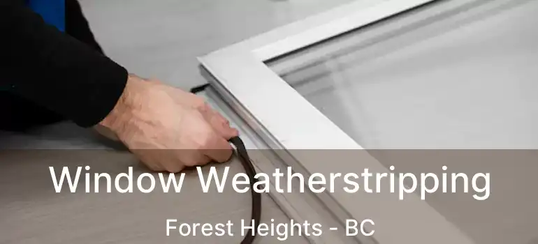  Window Weatherstripping Forest Heights - BC