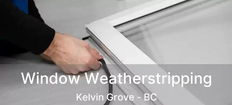  Window Weatherstripping Kelvin Grove - BC
