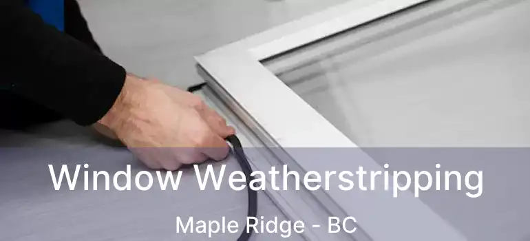  Window Weatherstripping Maple Ridge - BC