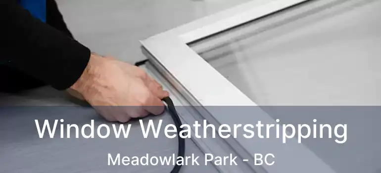  Window Weatherstripping Meadowlark Park - BC