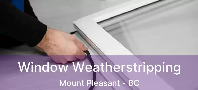  Window Weatherstripping Mount Pleasant - BC