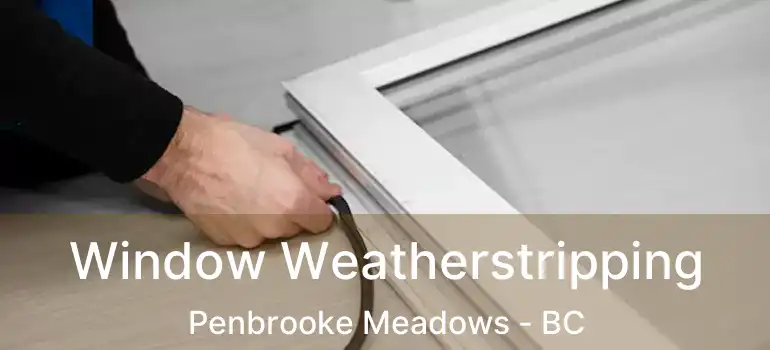  Window Weatherstripping Penbrooke Meadows - BC