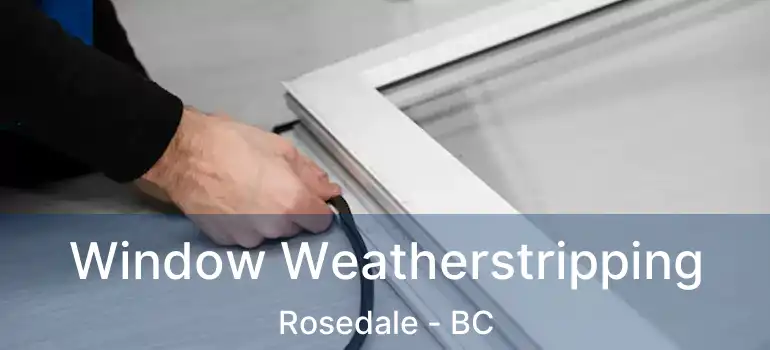  Window Weatherstripping Rosedale - BC