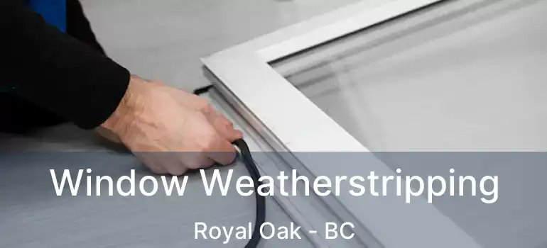  Window Weatherstripping Royal Oak - BC