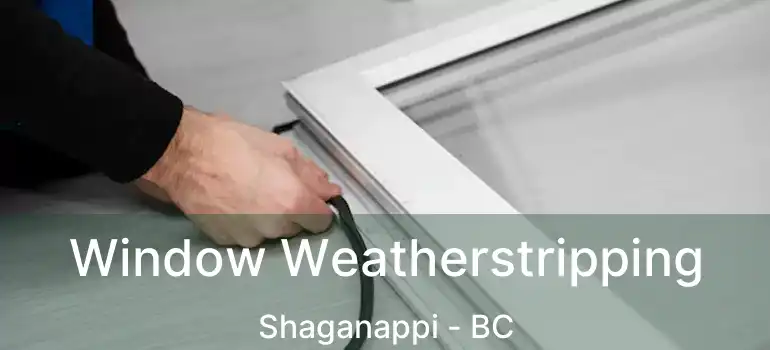  Window Weatherstripping Shaganappi - BC