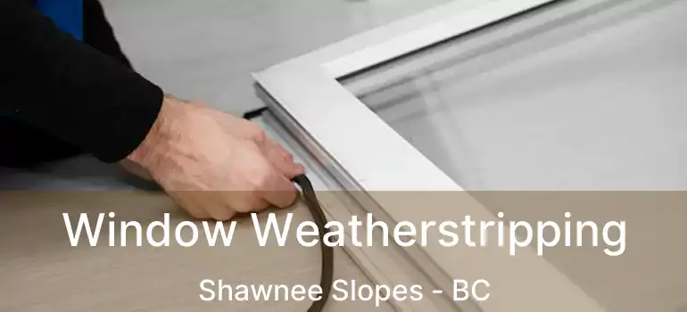  Window Weatherstripping Shawnee Slopes - BC