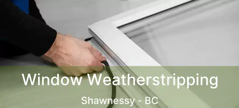  Window Weatherstripping Shawnessy - BC