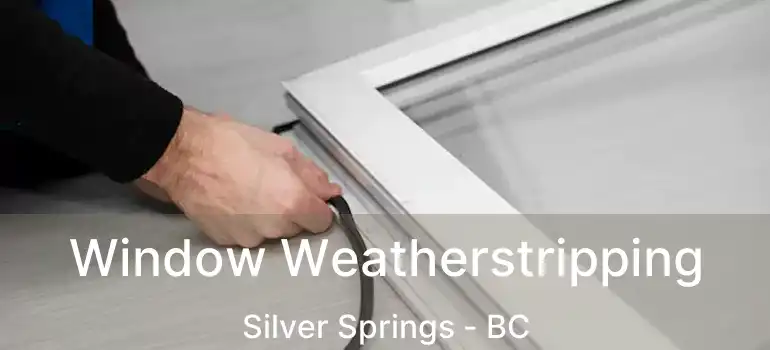  Window Weatherstripping Silver Springs - BC