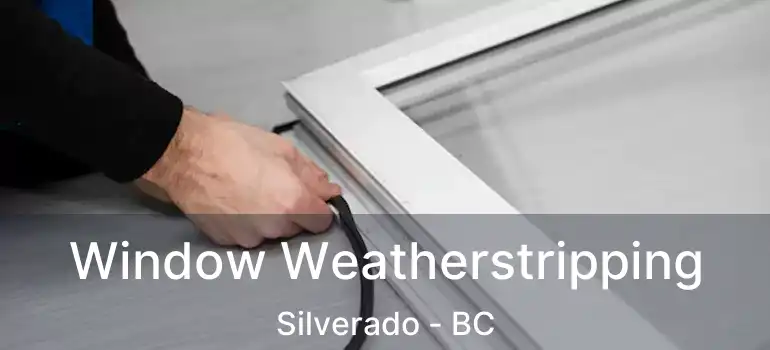  Window Weatherstripping Silverado - BC