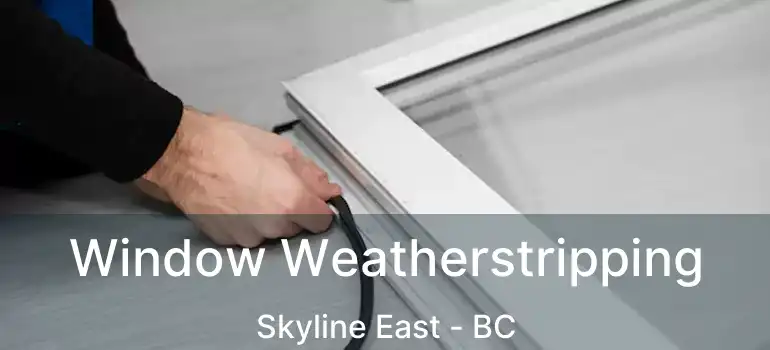  Window Weatherstripping Skyline East - BC