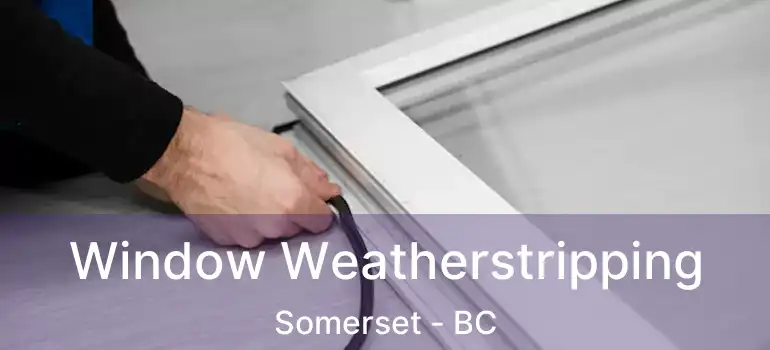  Window Weatherstripping Somerset - BC