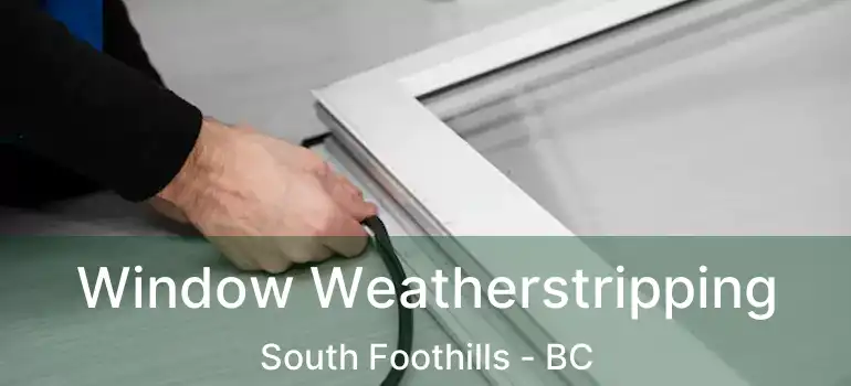  Window Weatherstripping South Foothills - BC