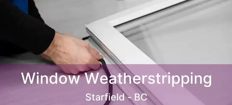  Window Weatherstripping Starfield - BC
