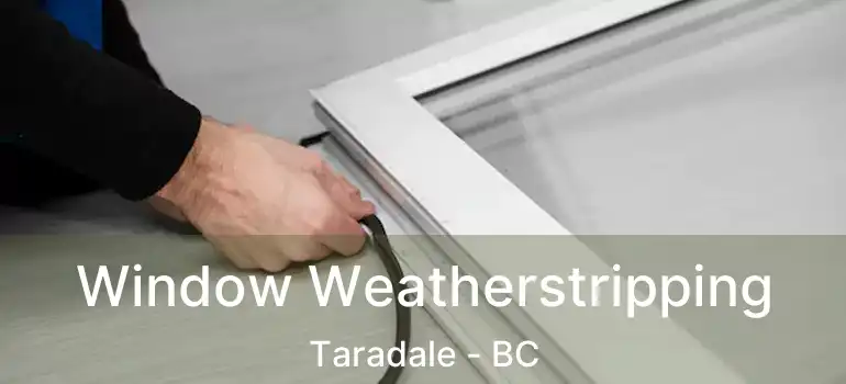  Window Weatherstripping Taradale - BC