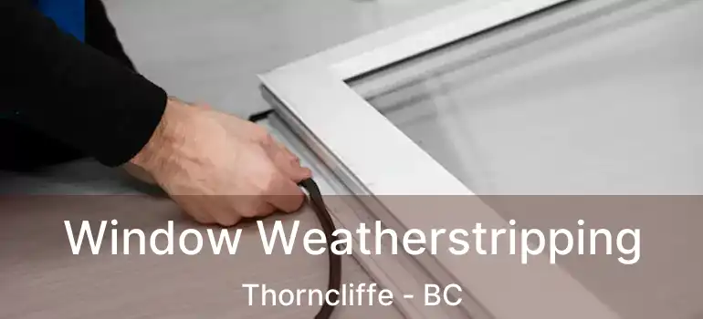  Window Weatherstripping Thorncliffe - BC