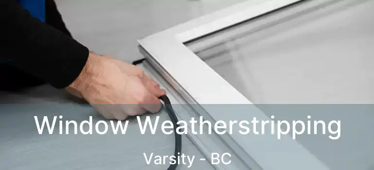  Window Weatherstripping Varsity - BC