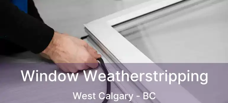  Window Weatherstripping West Calgary - BC