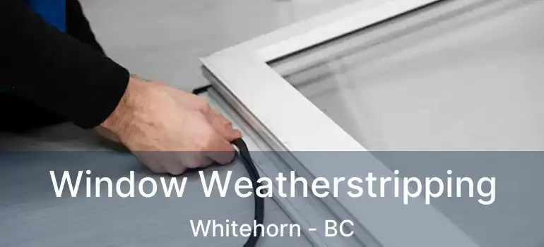  Window Weatherstripping Whitehorn - BC