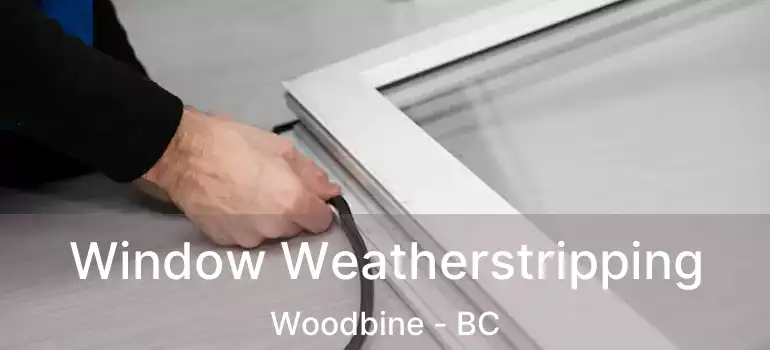  Window Weatherstripping Woodbine - BC