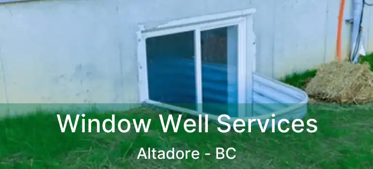  Window Well Services Altadore - BC