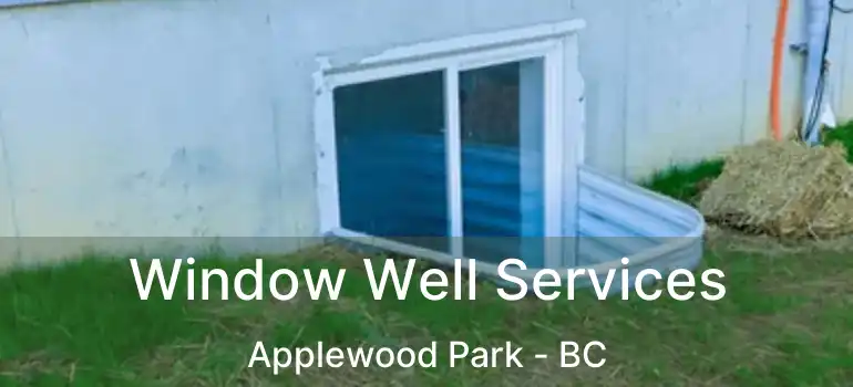  Window Well Services Applewood Park - BC