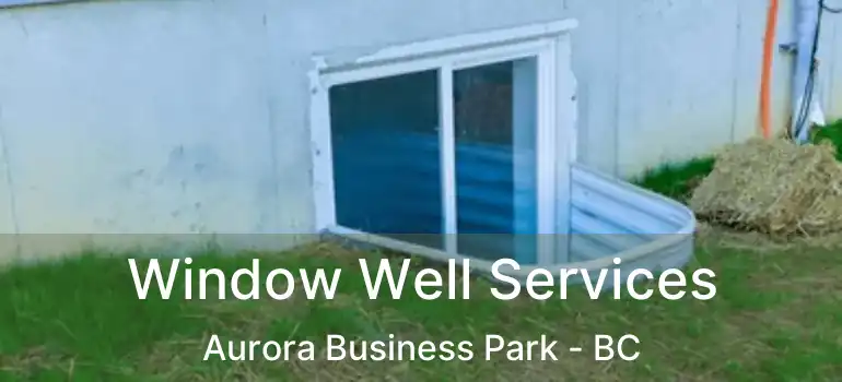  Window Well Services Aurora Business Park - BC