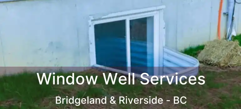  Window Well Services Bridgeland & Riverside - BC