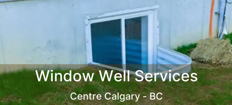  Window Well Services Centre Calgary - BC