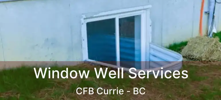  Window Well Services CFB Currie - BC