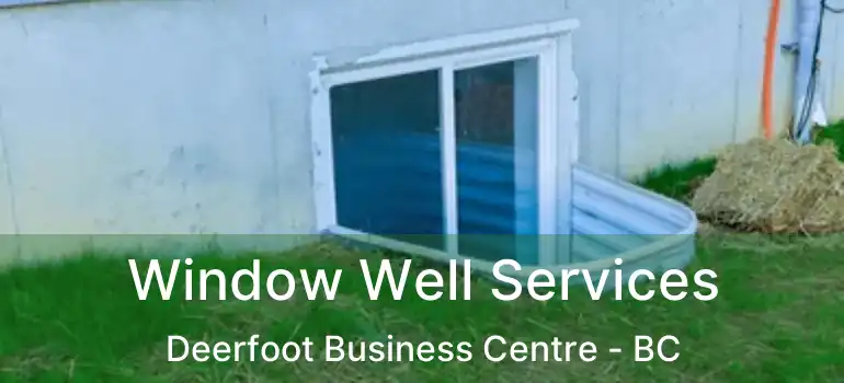  Window Well Services Deerfoot Business Centre - BC
