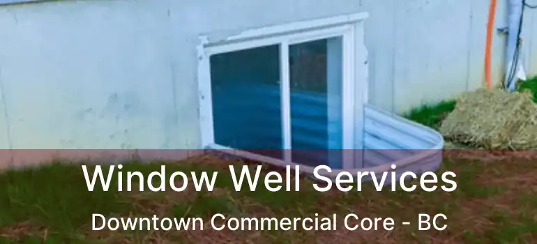  Window Well Services Downtown Commercial Core - BC