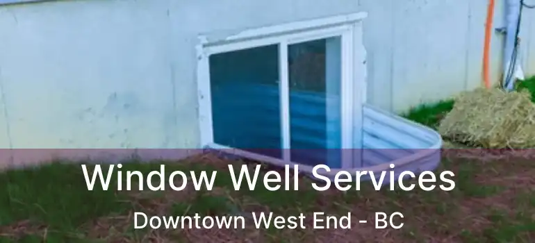  Window Well Services Downtown West End - BC