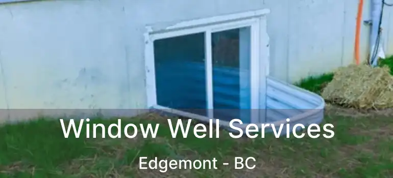  Window Well Services Edgemont - BC