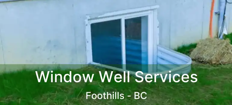  Window Well Services Foothills - BC
