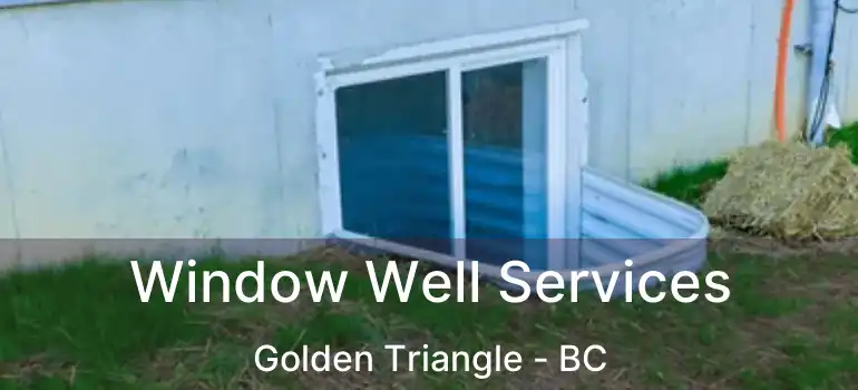  Window Well Services Golden Triangle - BC
