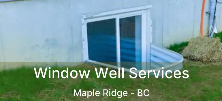  Window Well Services Maple Ridge - BC