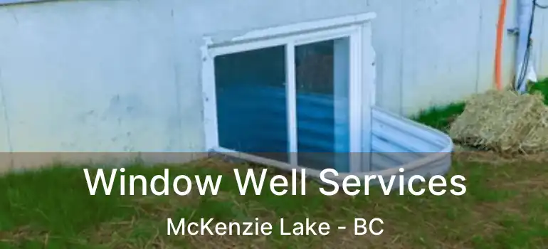  Window Well Services McKenzie Lake - BC