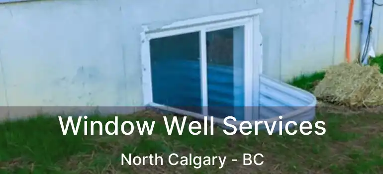  Window Well Services North Calgary - BC