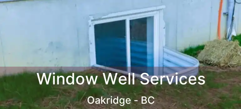  Window Well Services Oakridge - BC