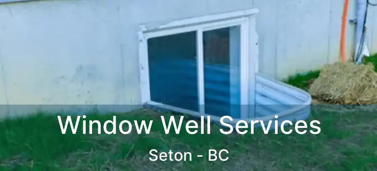  Window Well Services Seton - BC