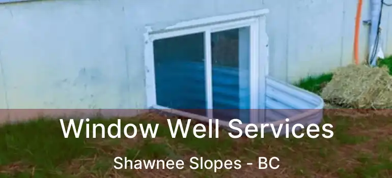  Window Well Services Shawnee Slopes - BC