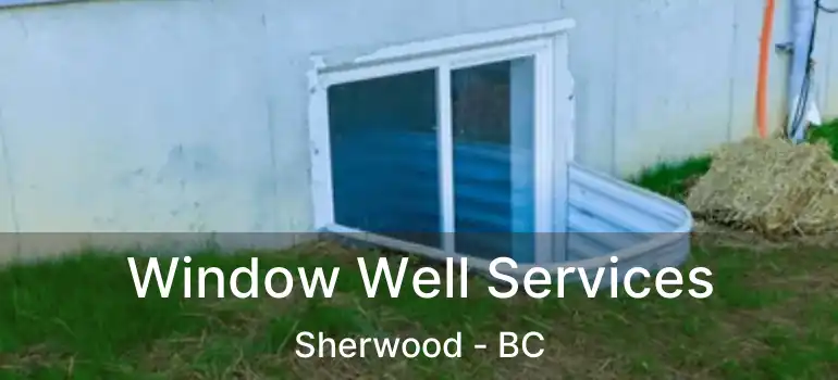 Window Well Services Sherwood - BC