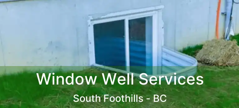  Window Well Services South Foothills - BC