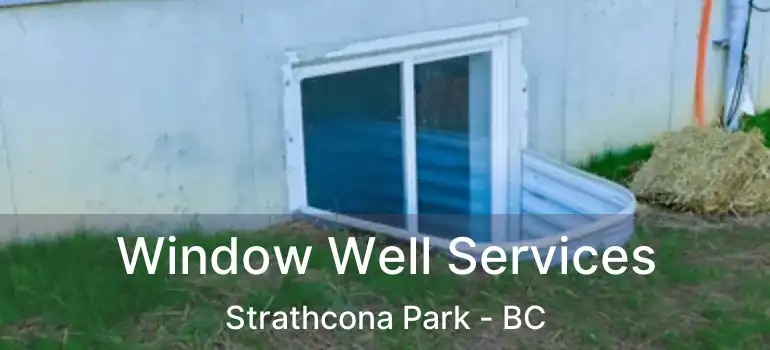  Window Well Services Strathcona Park - BC