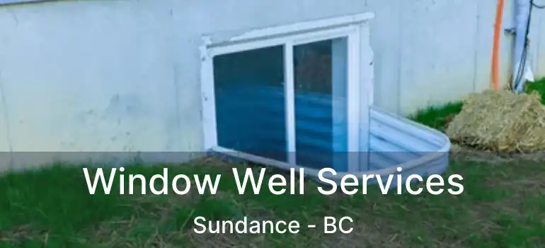 Window Well Services Sundance - BC