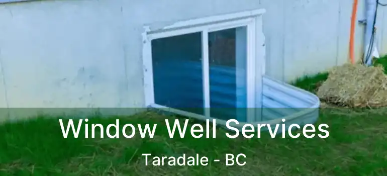  Window Well Services Taradale - BC
