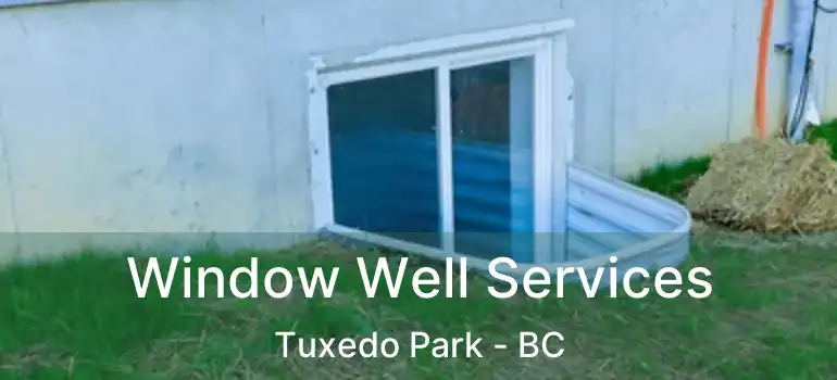  Window Well Services Tuxedo Park - BC