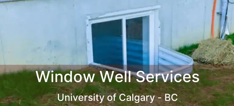  Window Well Services University of Calgary - BC