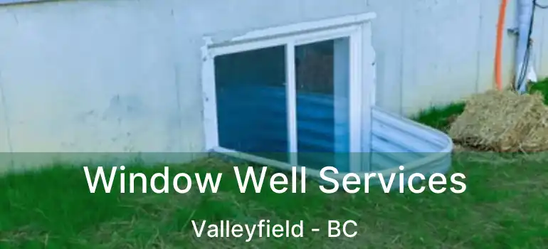 Window Well Services Valleyfield - BC